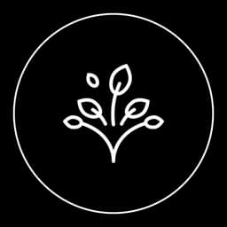 meditation category image