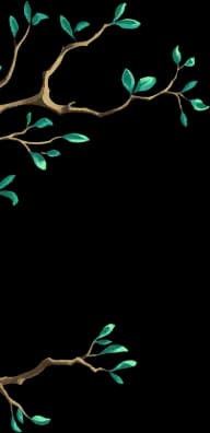 branches